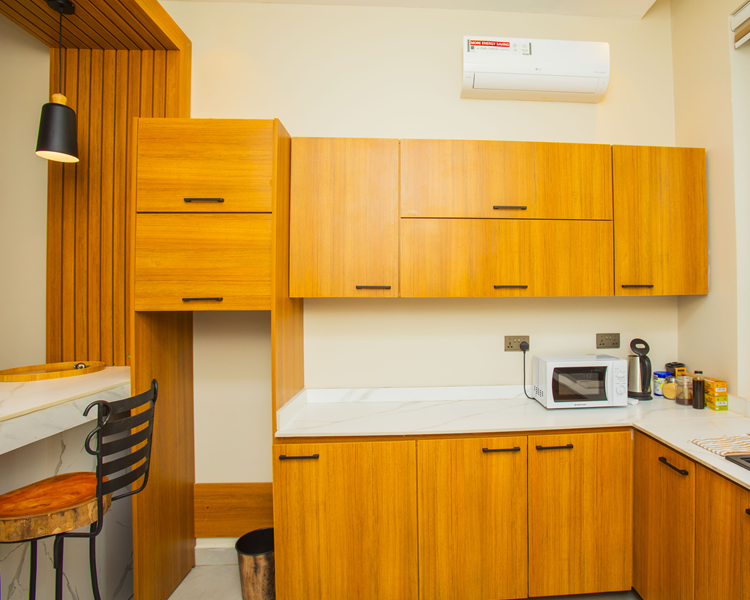Luxury Apartment
